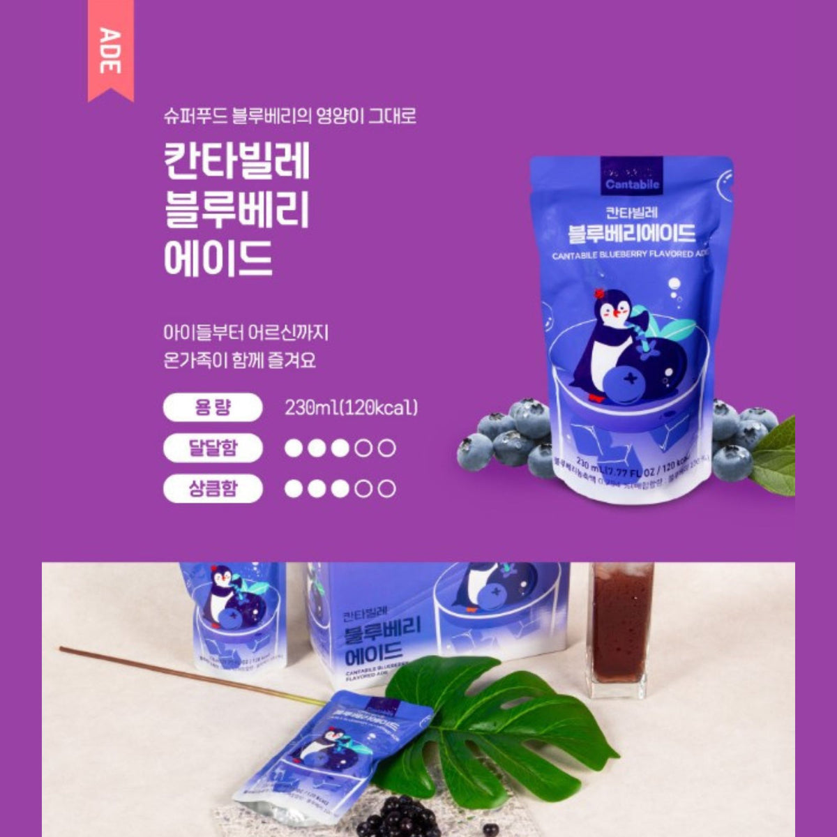 Bebida Coreana Jugo Cantabile Sabor Arándano para Vaso con Hielo 230 ML